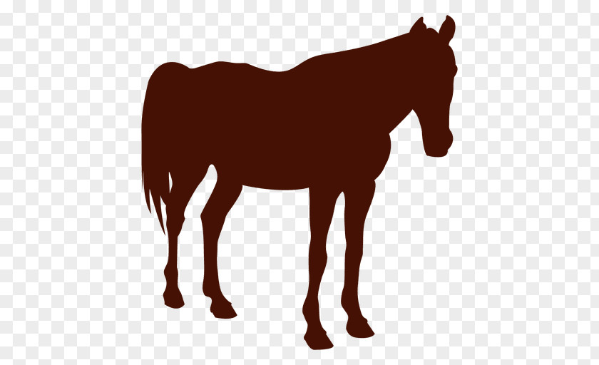 Horse Mule Pony Stallion PNG