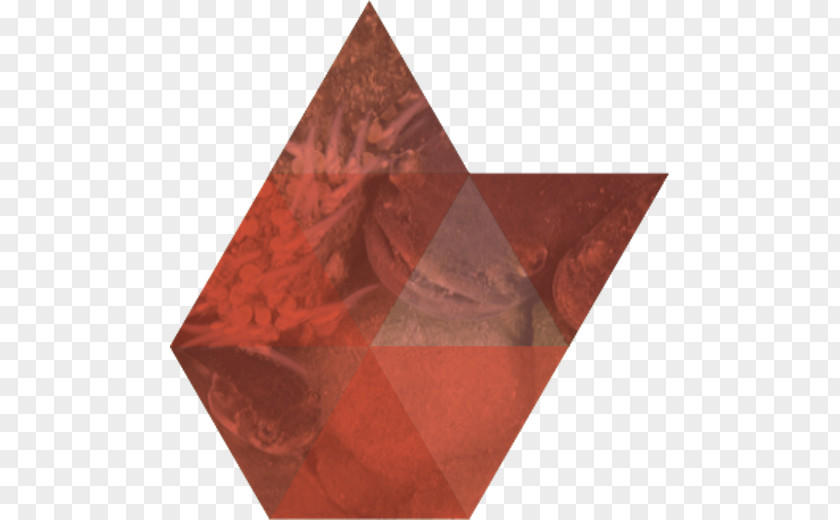 Remaining Red Triangle Color Here & Now PNG