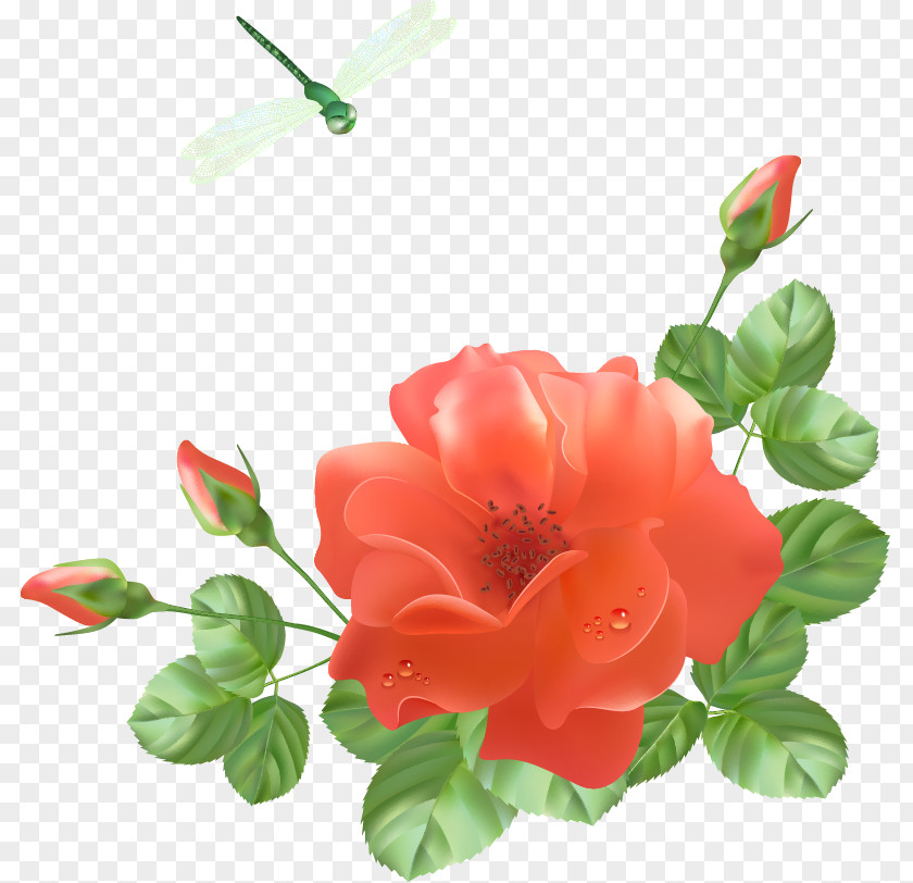 Romantic Flowers Jubileum PNG