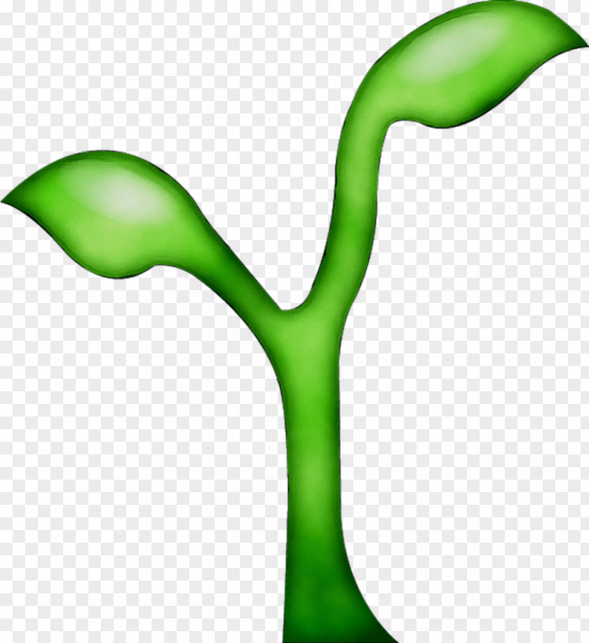 Green Leaf Plant Stem Clip Art Product Design PNG