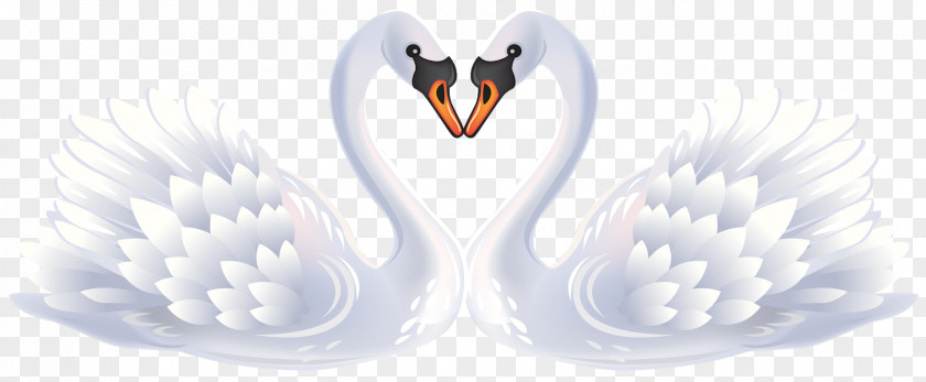 Heart Mute Swan Clip Art Duck Bird PNG