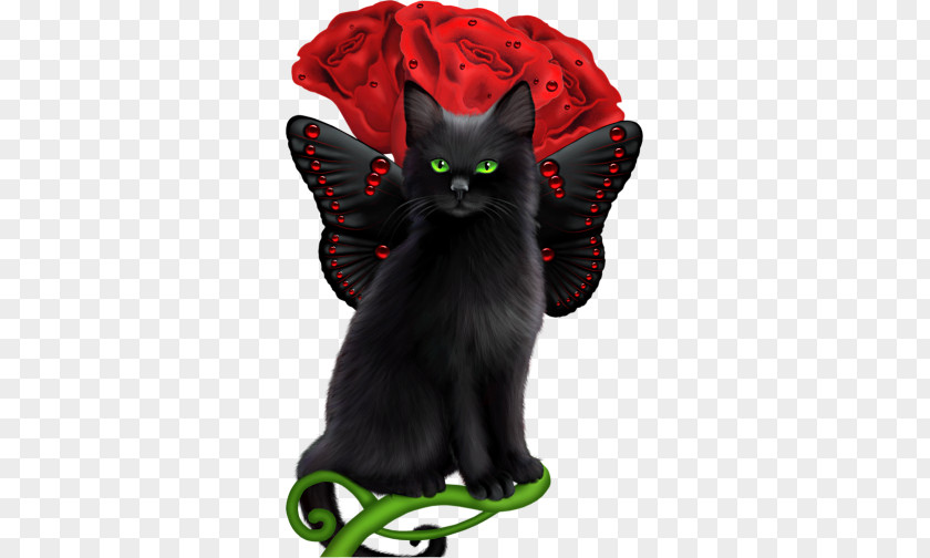 Kitten Black Cat Fairy PNG