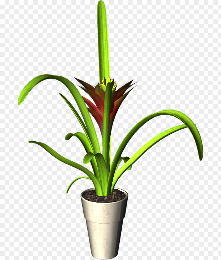 Plant Flowerpot Clip Art PNG
