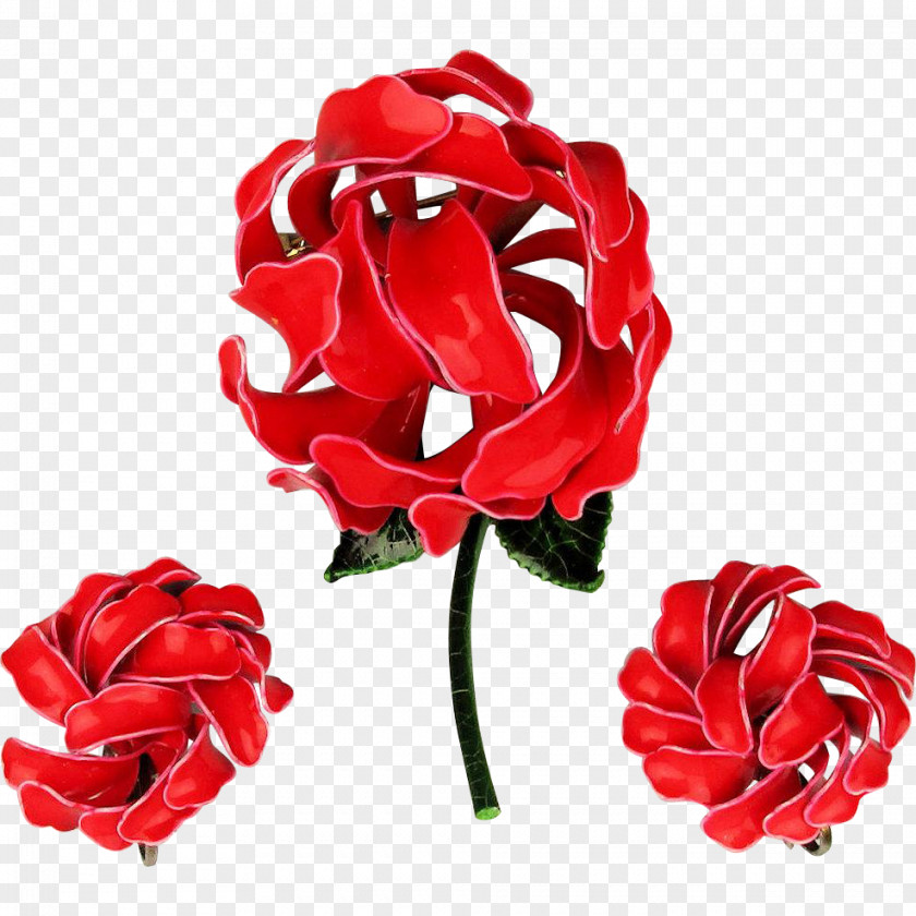 Rose Garden Roses Cut Flowers Flower Bouquet PNG