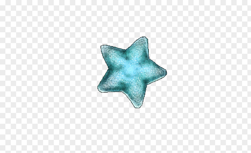 Starfish Turquoise PNG