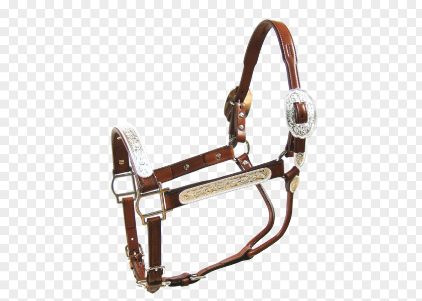Three Swing Fire Pit Halter Horse Tack Lead Showmanship PNG