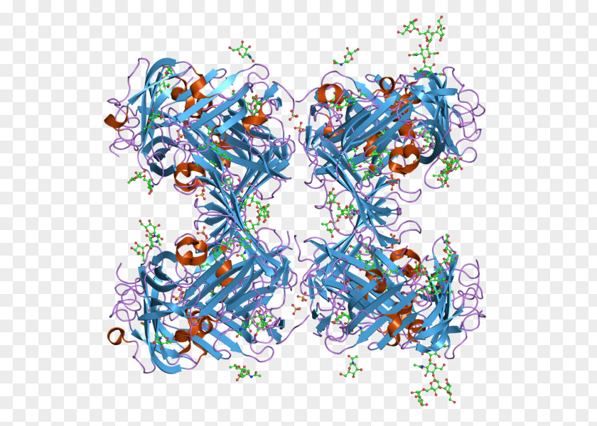 Urokinase Receptor Graphic Design Plasminogen Activator PNG