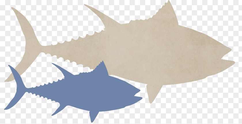 Boat InsuranceAtlantic Bluefin Tuna Tiger Shark Fish Requiem Sharks United Marine Underwriters PNG