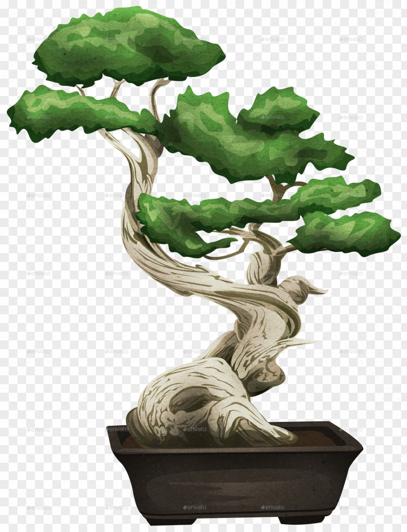Bonsai Tree Sageretia Theezans Flowerpot Houseplant PNG