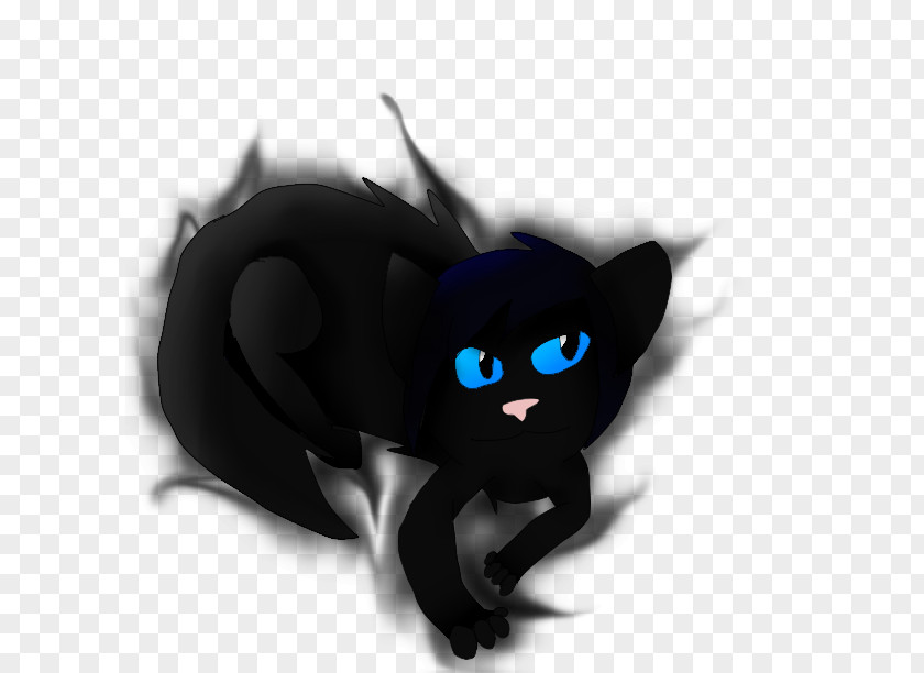 Cat Black Whiskers Desktop Wallpaper PNG