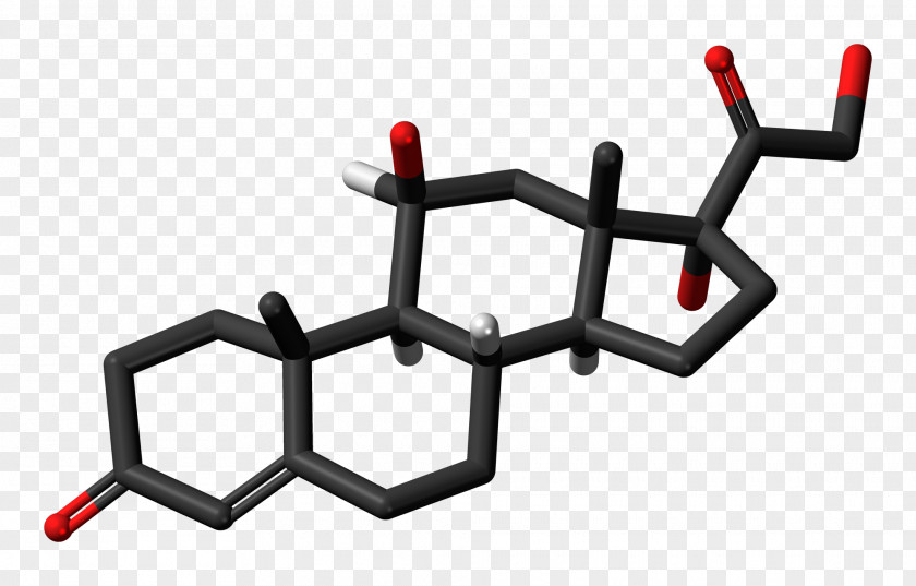 Cholesterol Ball-and-stick Model Space-filling Testosterone Molecular PNG