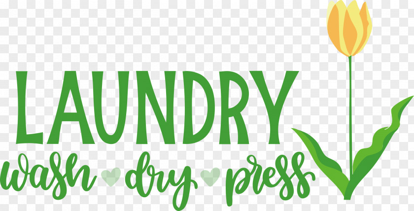 Laundry Wash Dry PNG