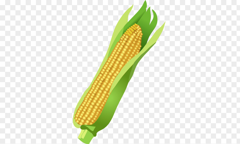 Vector Food Corn On The Cob Maize Basalt Fiber PNG