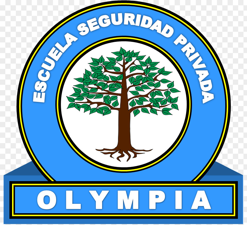 Olympia Clip Art Brand Logo Tree Professional Development PNG