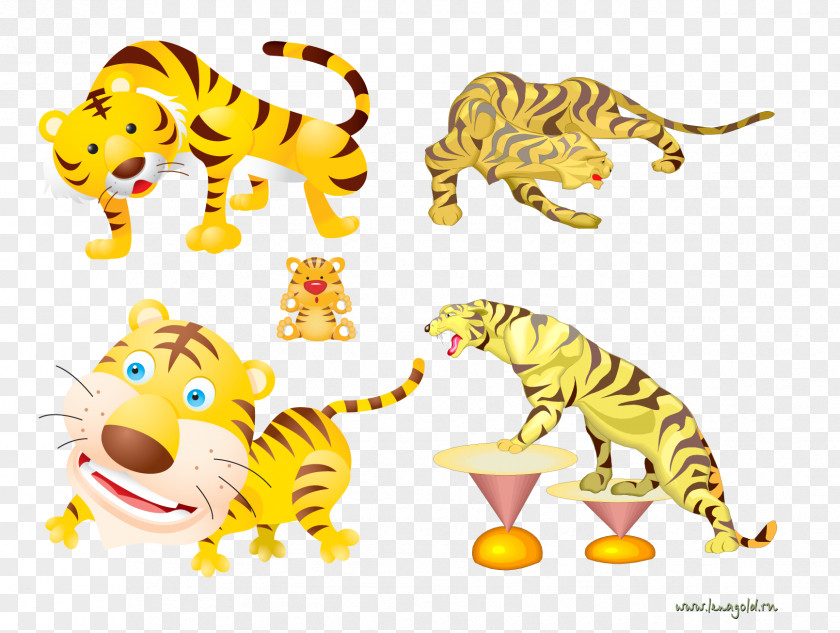 Tiger Cartoon Drawing PNG