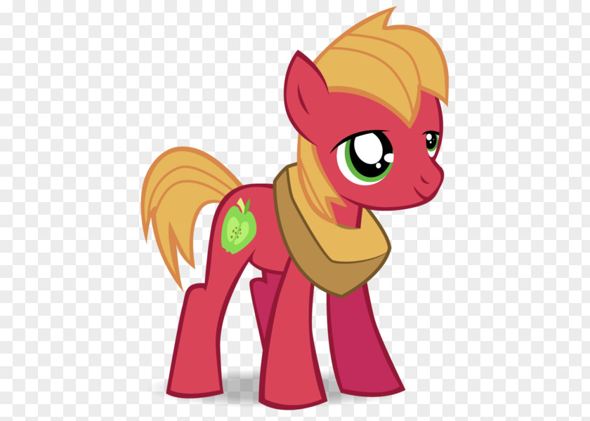 Big McIntosh Pony Fluttershy Applejack Pinkie Pie PNG