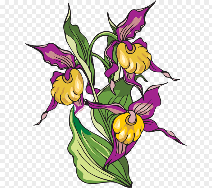 Flower Floral Design Clip Art PNG