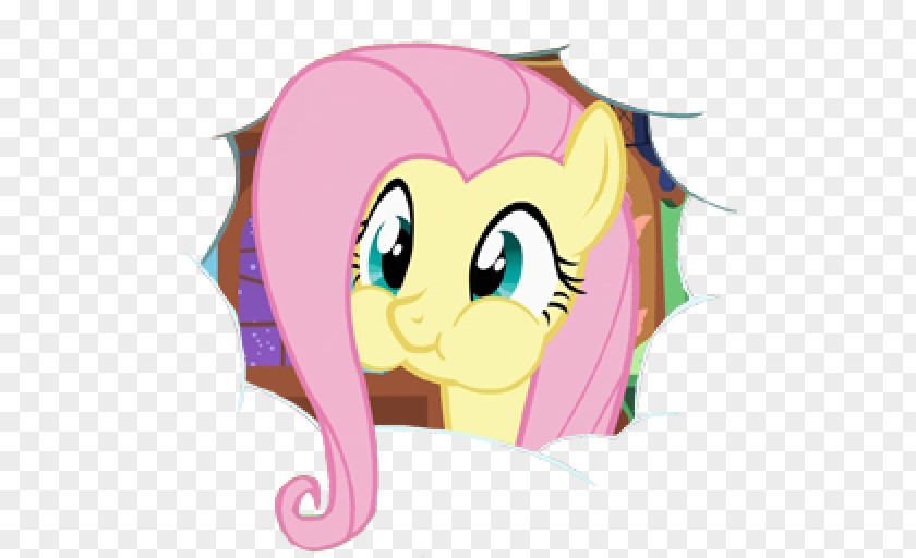 My Little Pony Fluttershy Pinkie Pie Rainbow Dash Derpy Hooves PNG
