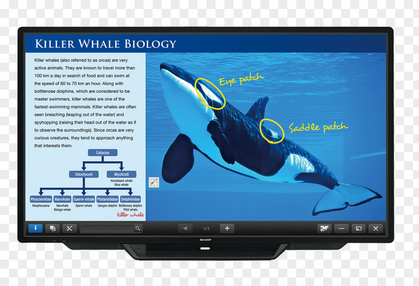 Output Devices Sharp Aquos LED-backlit LCD Computer Monitors Display Device Touchscreen PNG