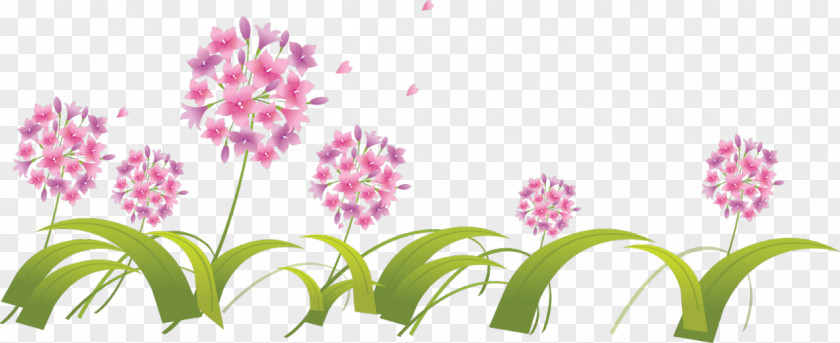 Pink Flower Background Vector Graphics Royalty-free Drawing Clip Art PNG