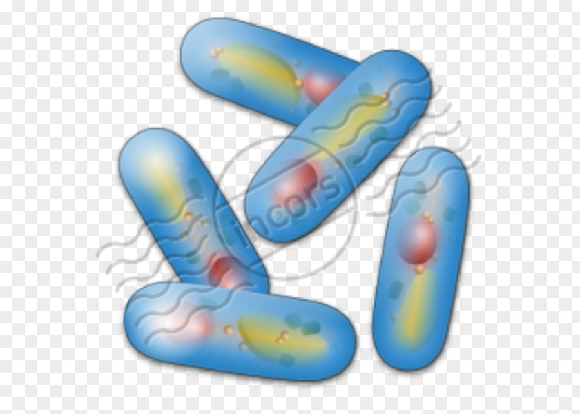 Bacteria Kingdom Clip Art Microbiology Biology Clipart PNG