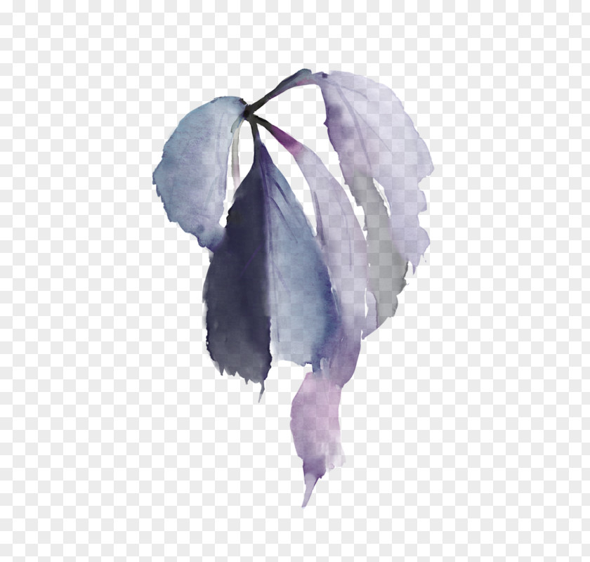 Hand Painted Hydrangea Petal Watercolor Painting Leaf PNG