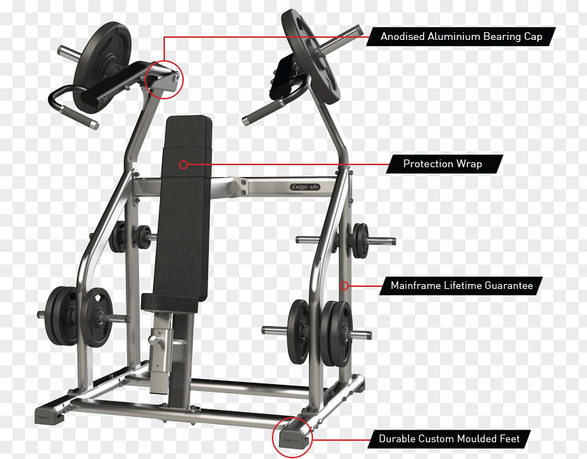 Shoulder Press Fitness Centre Strength Training Overhead Physical Weight PNG