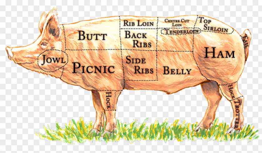 Sliced Pork Domestic Pig Primal Cut Of Meat Bacon PNG