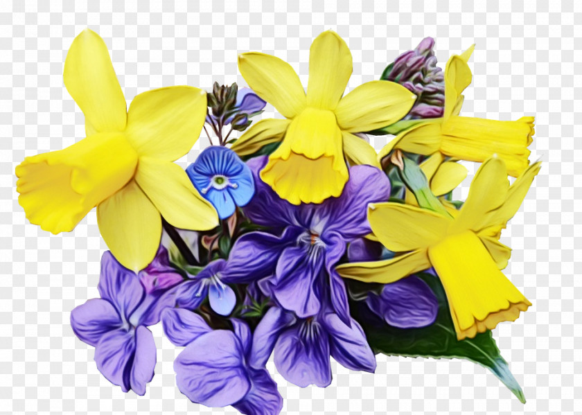 Wildflower Iris Flower Flowering Plant Yellow Cut Flowers PNG