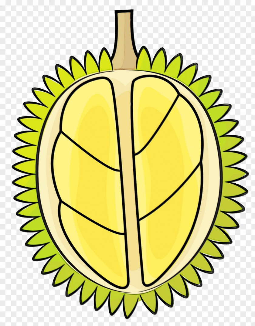 Yellow Durian Leaf Plant Fruit PNG