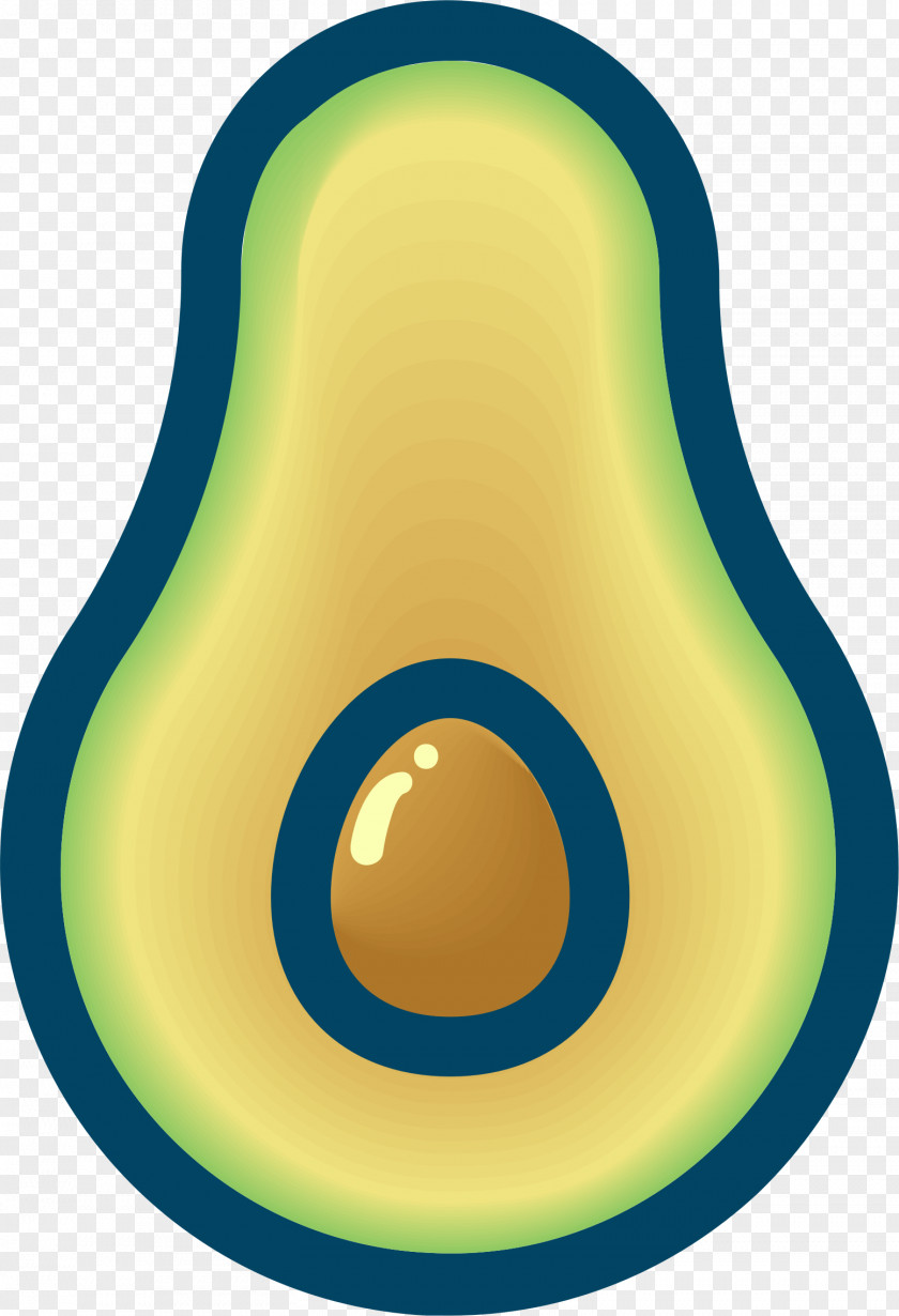 Avocado Drawing Clip Art PNG