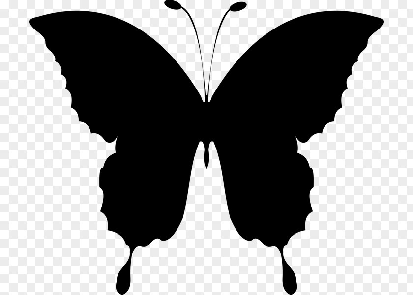 Butterfly Clip Art Insect Openclipart PNG
