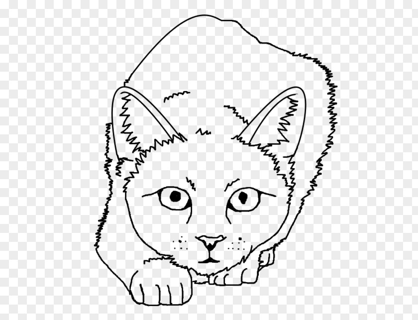 Cat Line Art Drawing PNG