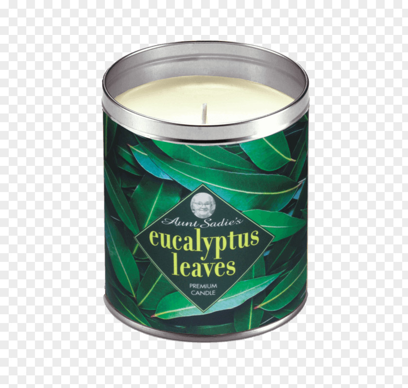Eucalyptus Leaves Candle Wick Wax Candlestick Lighting PNG