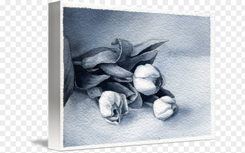 Flower Still Life Photography Picture Frames PNG