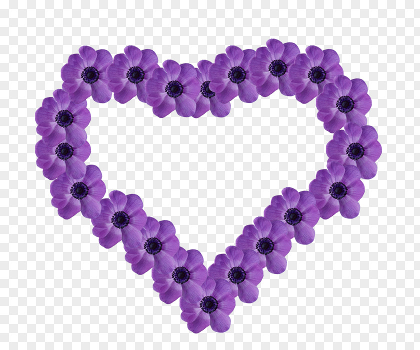 Heart Album Purple PNG
