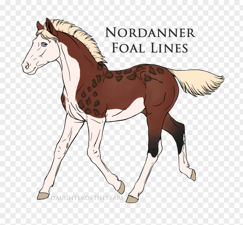 Mustang Mane Foal Stallion Colt PNG