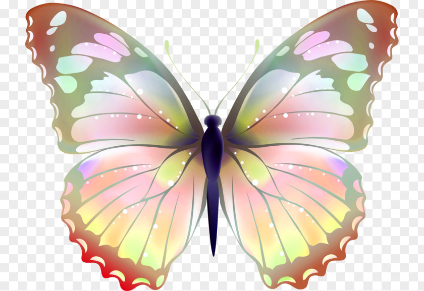 Plumeria 14 2 1 Butterfly Greta Oto Desktop Wallpaper Clip Art PNG
