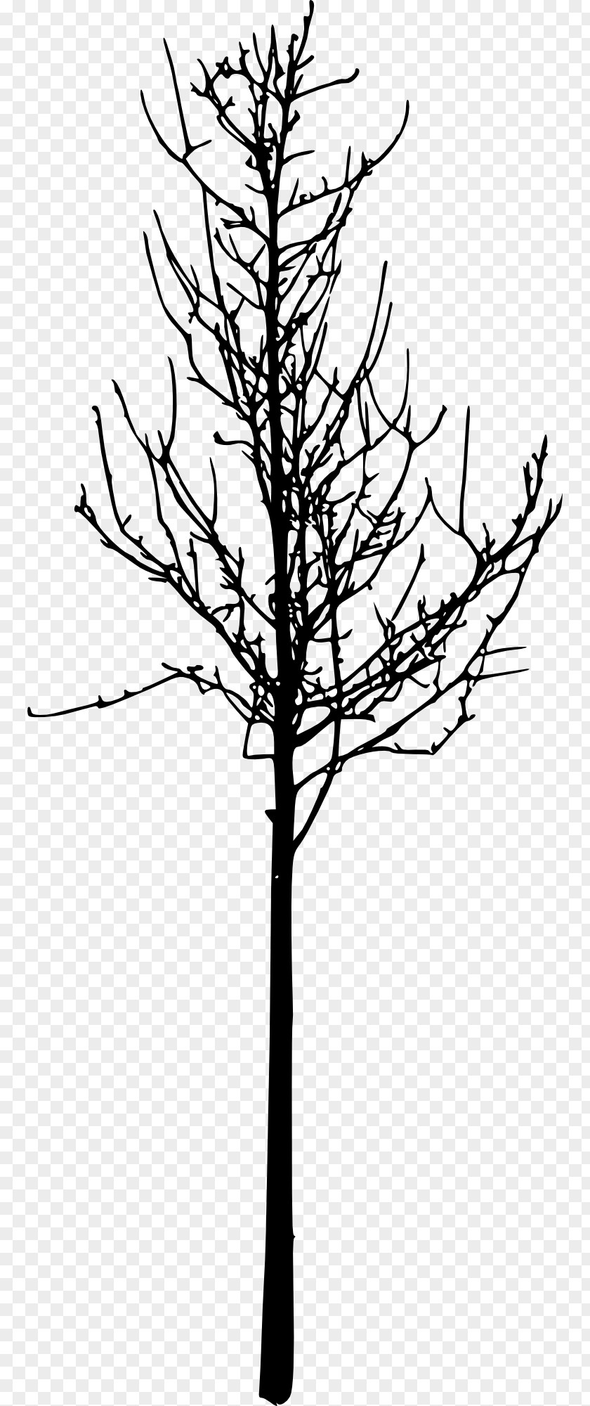 Silhouette Image Clip Art Tree PNG