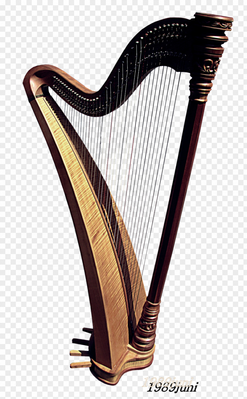 Delicate Harp Musical Instrument DeviantArt PNG