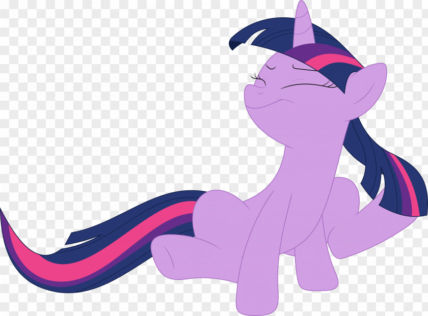 Itch Pony Twilight Sparkle Rainbow Dash DeviantArt PNG