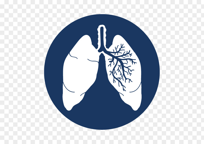 Lunge Lung Cancer Organism Abemaciclib PNG