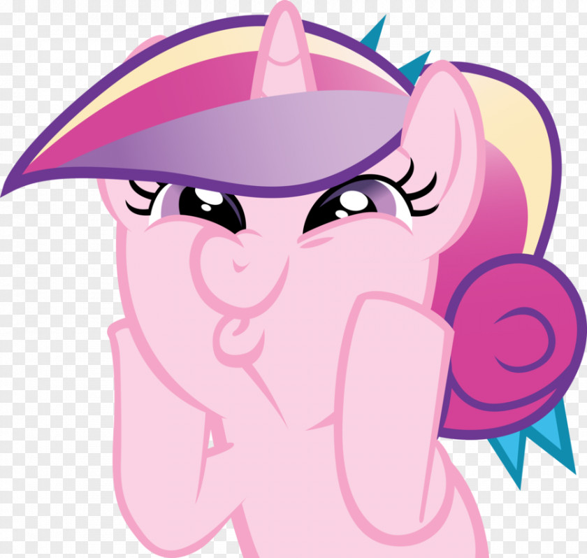 My Little Pony Princess Cadance Rarity Pinkie Pie Derpy Hooves PNG
