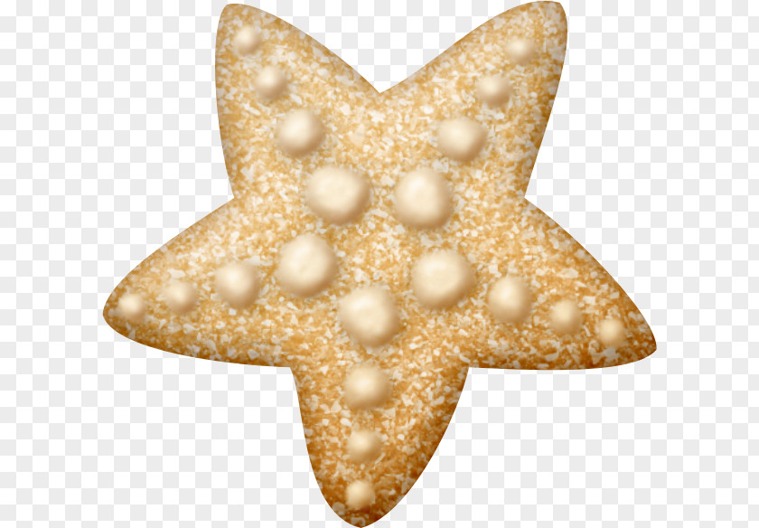 Mar Starfish Sea Drawing Clip Art PNG