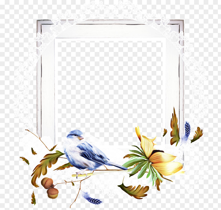 Picture Frame Plant Hummingbird PNG