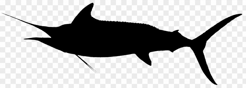 Shark Clip Art Fauna Line Marine Mammal PNG