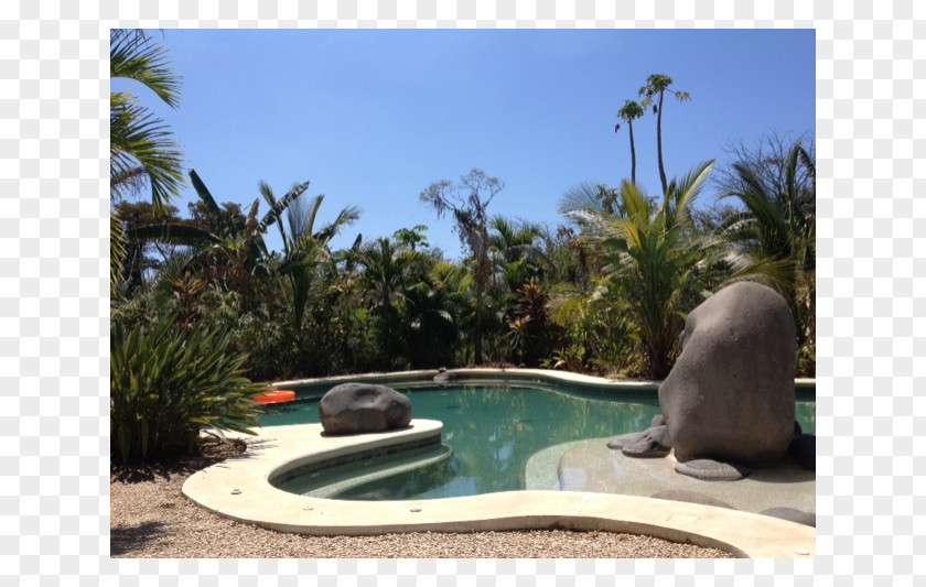 Water Swimming Pool Arecaceae Resort Feature Landscape PNG