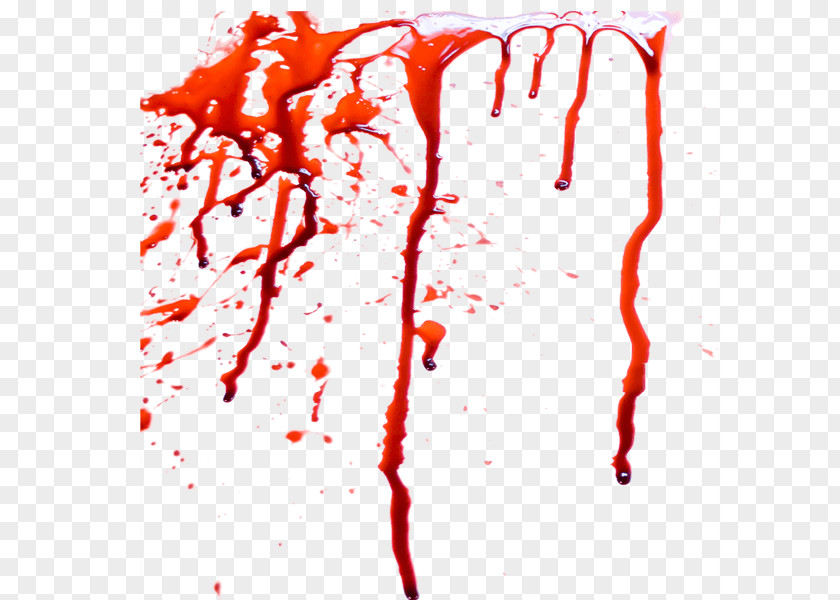 Blood Image Rendering PNG