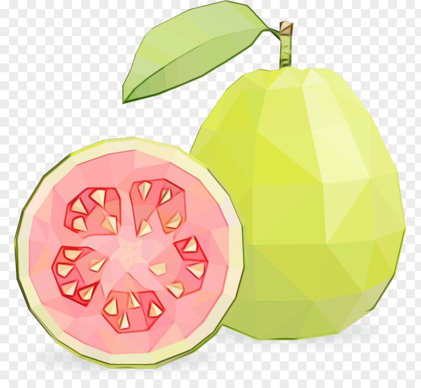 Citrus Tree Fruit Plant Guava Leaf Food PNG