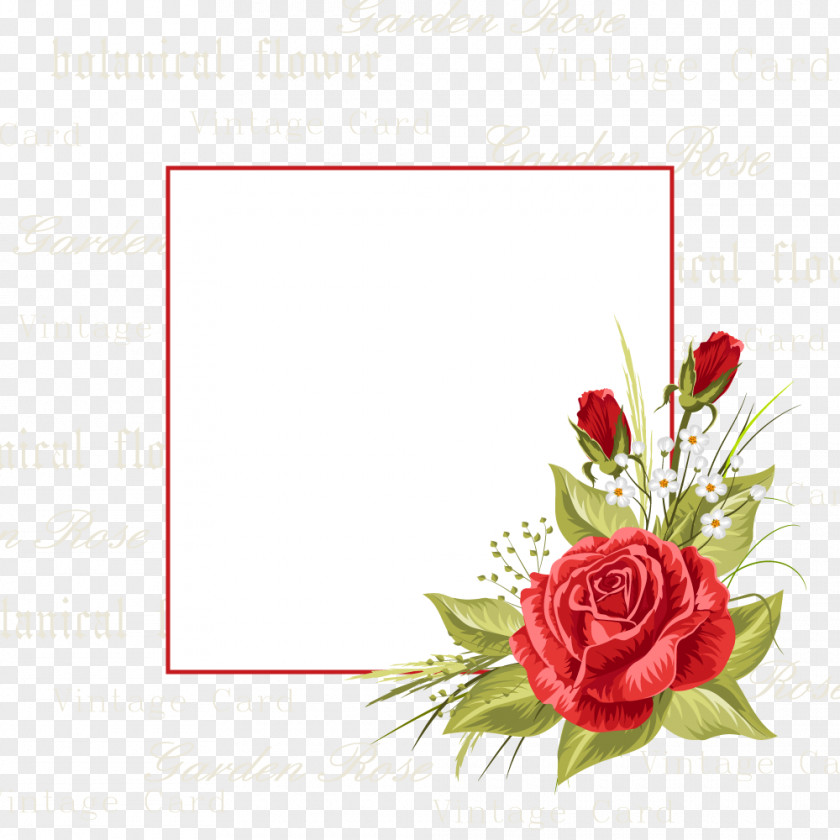 Flowers Invitations Vector PNG